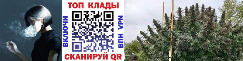 ГАШ Колпашево