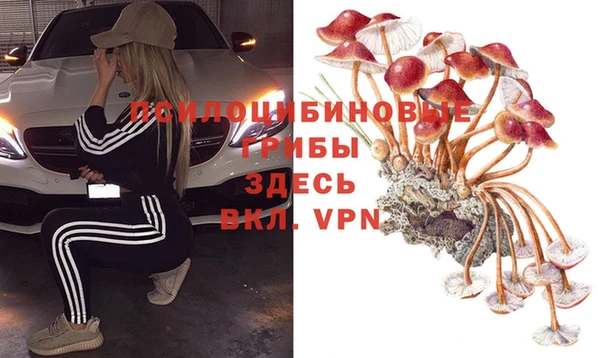 мдпв Балабаново