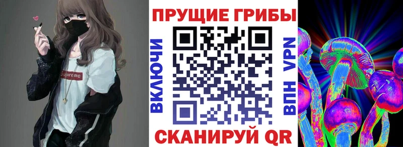 Псилоцибиновые грибы GOLDEN TEACHER  Колпашево 