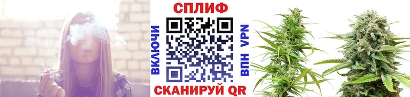 магазин    Колпашево  Бошки марихуана Amnesia 